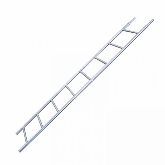 Steel Access Ladder